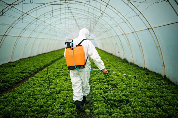 Best Mosquito Control Services  in Fowler, IN