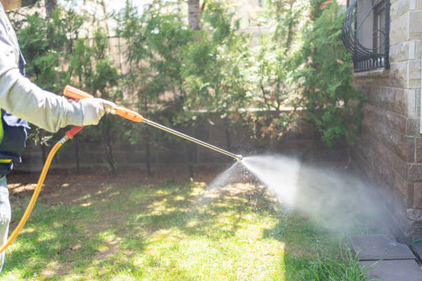 Bird Control in Fowler, IN