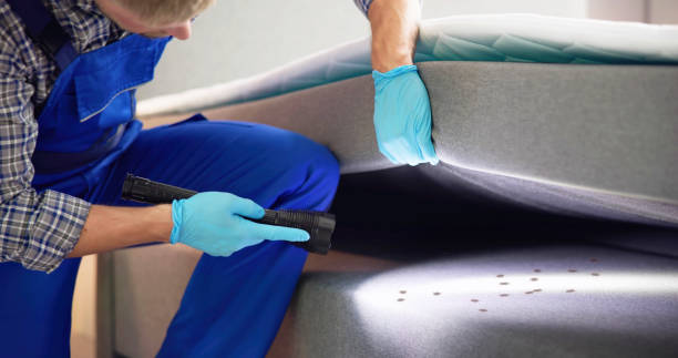 Best Residential Pest Control  in Fowler, IN