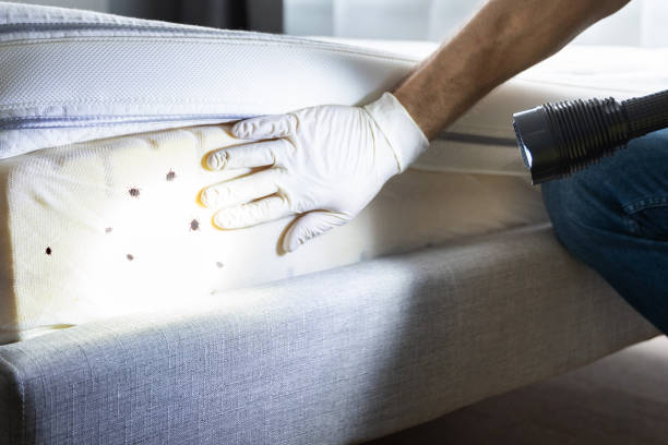 Best Emergency Pest Control  in Fowler, IN