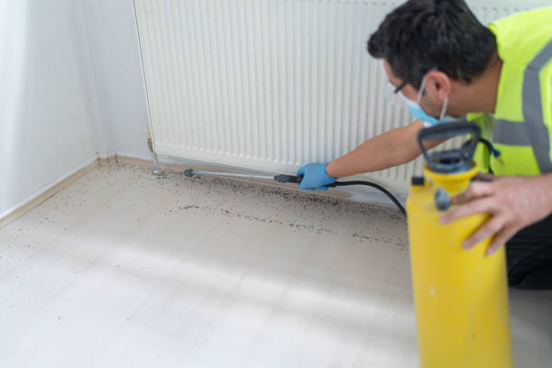 Best Bed Bug Extermination  in Fowler, IN